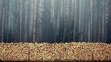 Cennik detaliczny na drewno obowiązujący w I półroczu 2024 roku